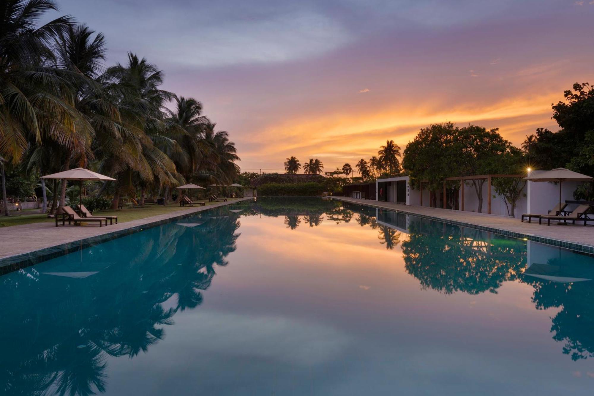 Jetwing Lagoon Wellness, A Luxury Reserve - Adults Only Негомбо Экстерьер фото
